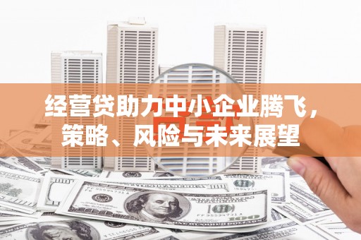 瑞金经营贷助力中小企业腾飞，策略、风险与未来展望