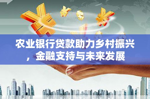 瑞金农业银行贷款助力乡村振兴，金融支持与未来发展