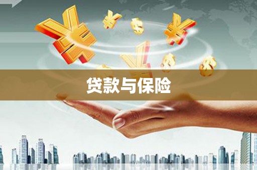 瑞金贷款与保险