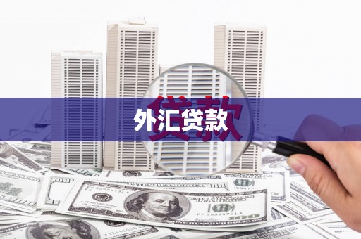 瑞金外汇贷款
