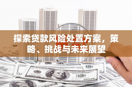 瑞金探索贷款风险处置方案，策略、挑战与未来展望