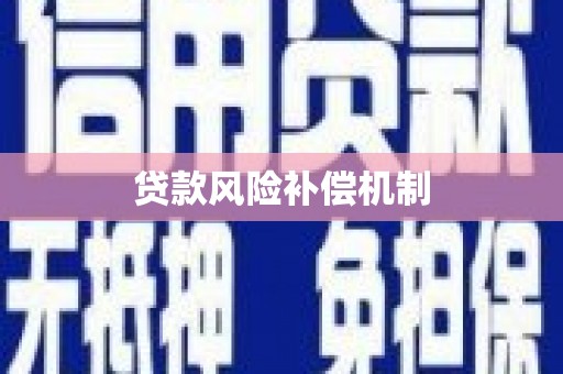 瑞金贷款风险补偿机制