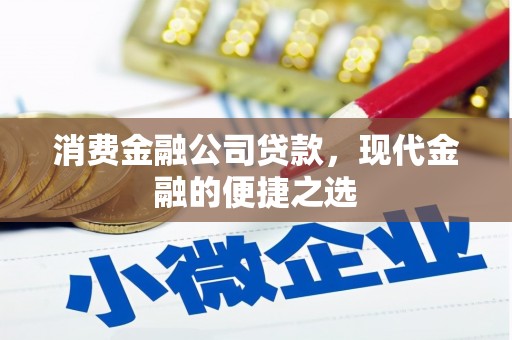 瑞金消费金融公司贷款，现代金融的便捷之选
