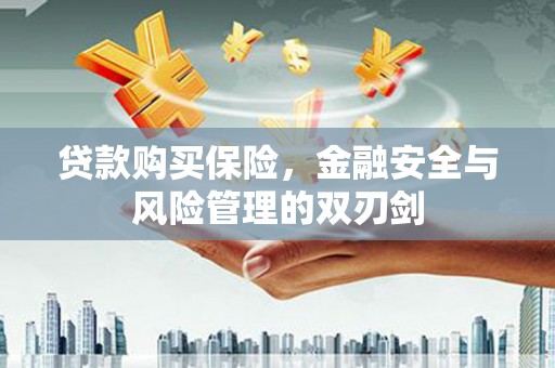 瑞金贷款购买保险，金融安全与风险管理的双刃剑