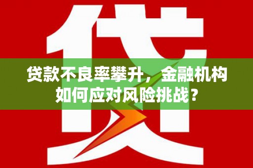 瑞金贷款不良率攀升，金融机构如何应对风险挑战？