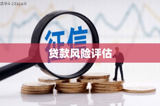 瑞金贷款风险评估