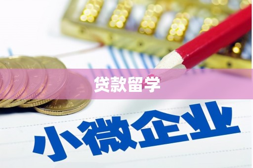 瑞金贷款留学