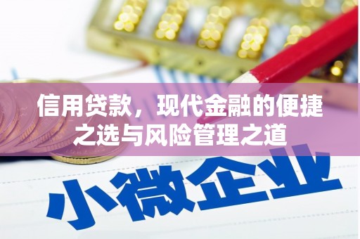 瑞金信用贷款，现代金融的便捷之选与风险管理之道