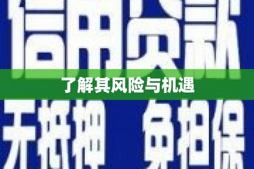 瑞金了解其风险与机遇