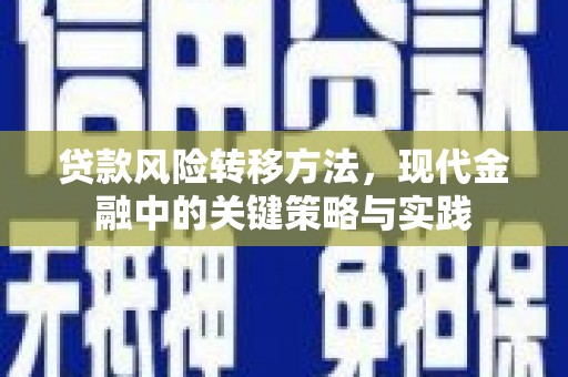 瑞金贷款风险转移方法，现代金融中的关键策略与实践