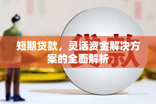 瑞金短期贷款，灵活资金解决方案的全面解析