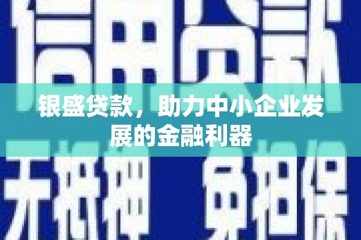 瑞金银盛贷款，助力中小企业发展的金融利器