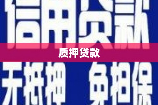 瑞金质押贷款
