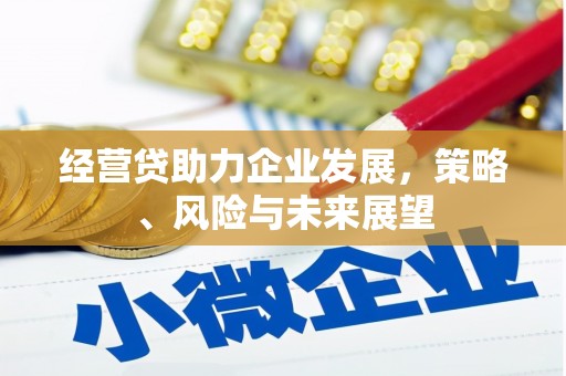 瑞金经营贷助力企业发展，策略、风险与未来展望