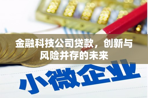 瑞金金融科技公司贷款，创新与风险并存的未来