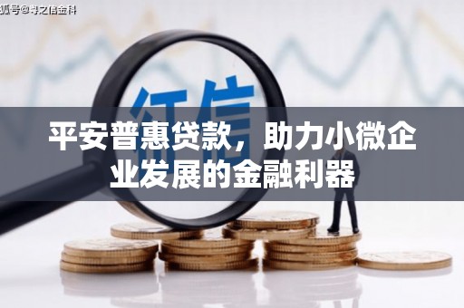瑞金平安普惠贷款，助力小微企业发展的金融利器