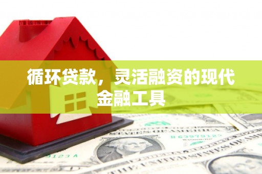 瑞金循环贷款，灵活融资的现代金融工具