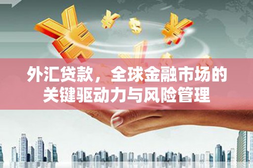 瑞金外汇贷款，全球金融市场的关键驱动力与风险管理