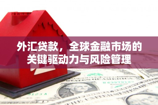 瑞金外汇贷款，全球金融市场的关键驱动力与风险管理