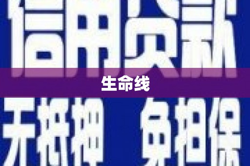 瑞金生命线