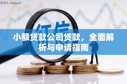 瑞金小额贷款公司贷款，全面解析与申请指南