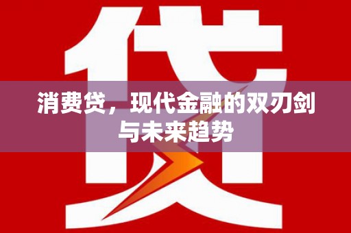 瑞金消费贷，现代金融的双刃剑与未来趋势