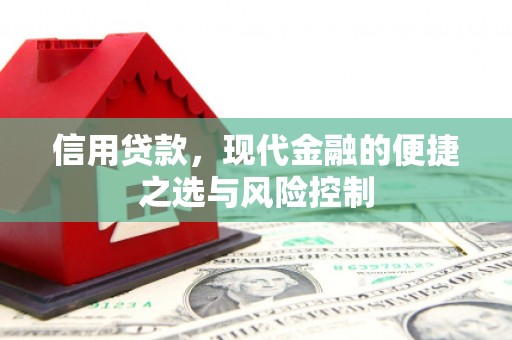 瑞金信用贷款，现代金融的便捷之选与风险控制