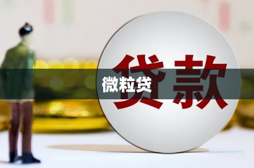 瑞金微粒贷