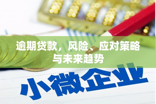 瑞金逾期贷款，风险、应对策略与未来趋势