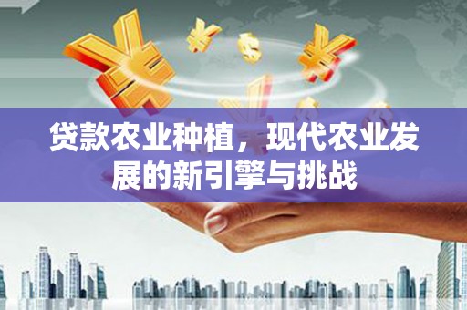 瑞金贷款农业种植，现代农业发展的新引擎与挑战