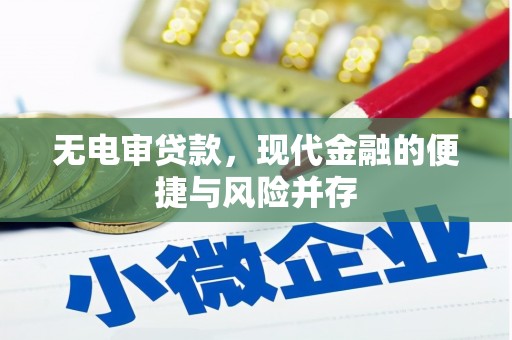 瑞金无电审贷款，现代金融的便捷与风险并存