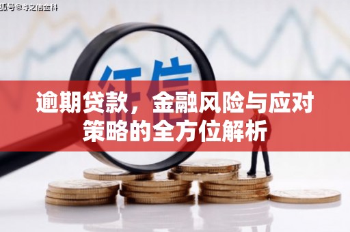 瑞金逾期贷款，金融风险与应对策略的全方位解析