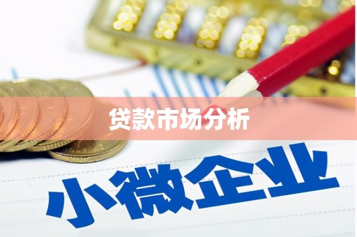 瑞金贷款市场分析