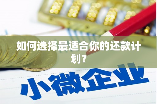 瑞金如何选择最适合你的还款计划？