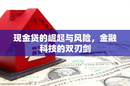 瑞金现金贷的崛起与风险，金融科技的双刃剑