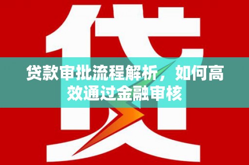 瑞金贷款审批流程解析，如何高效通过金融审核