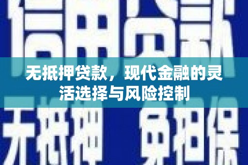 瑞金无抵押贷款，现代金融的灵活选择与风险控制