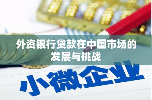 瑞金外资银行贷款在中国市场的发展与挑战