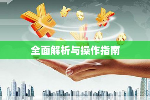 瑞金全面解析与操作指南