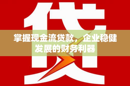 瑞金掌握现金流贷款，企业稳健发展的财务利器