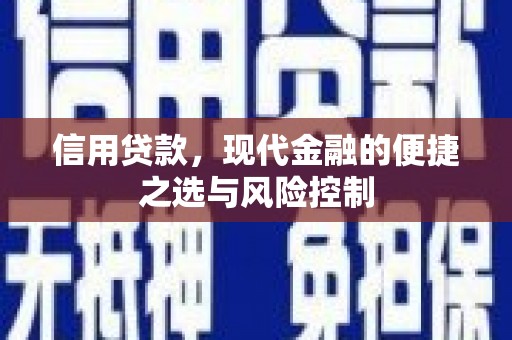 瑞金信用贷款，现代金融的便捷之选与风险控制