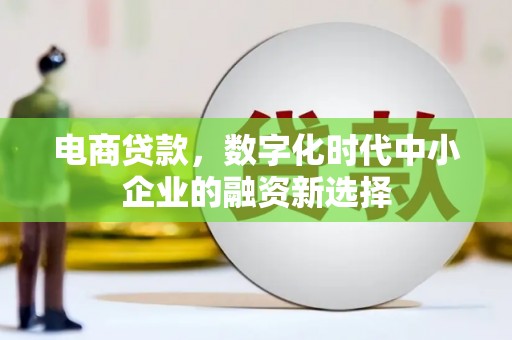 瑞金电商贷款，数字化时代中小企业的融资新选择