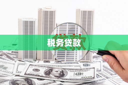 瑞金税务贷款