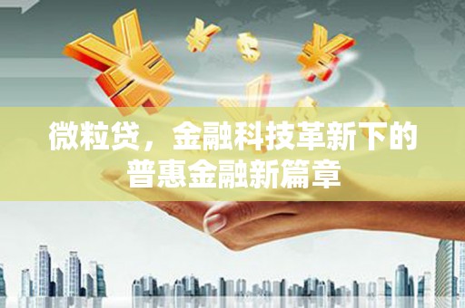瑞金微粒贷，金融科技革新下的普惠金融新篇章