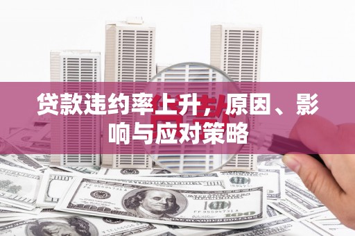 瑞金贷款违约率上升，原因、影响与应对策略