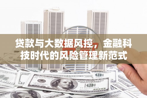瑞金贷款与大数据风控，金融科技时代的风险管理新范式