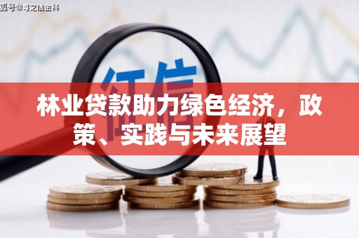 瑞金林业贷款助力绿色经济，政策、实践与未来展望