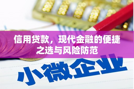 瑞金信用贷款，现代金融的便捷之选与风险防范