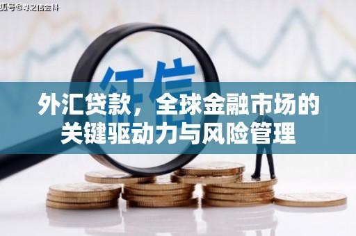 瑞金外汇贷款，全球金融市场的关键驱动力与风险管理