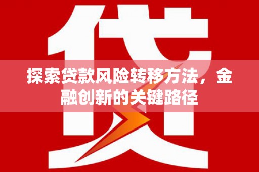 瑞金探索贷款风险转移方法，金融创新的关键路径
